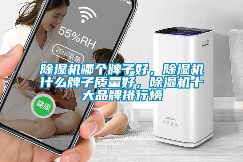 除濕機哪個牌子好<div   id=
