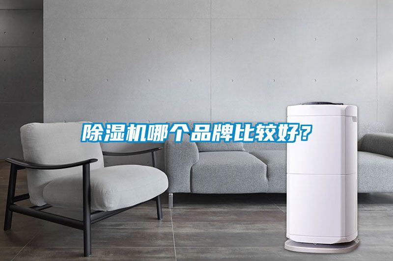 除濕機哪個品牌比較好<div   id=