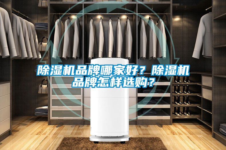 除濕機(jī)品牌哪家好<div   id=