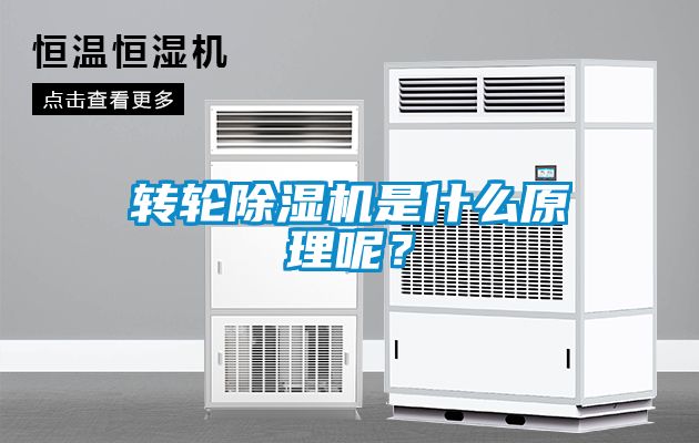 轉(zhuǎn)輪除濕機(jī)是什么原理呢<div   id=