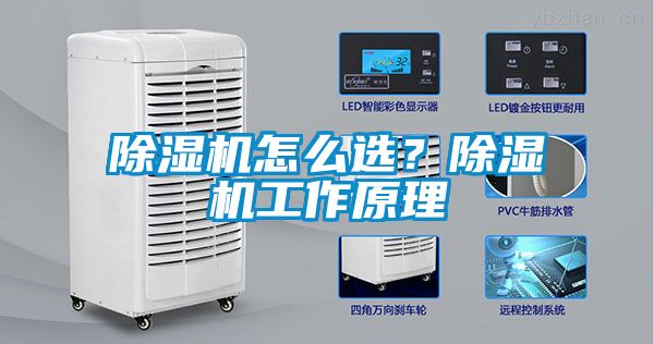 除濕機(jī)怎么選<div   id=