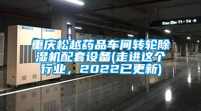 重慶松越藥品車間轉(zhuǎn)輪除濕機配套設(shè)備(走進(jìn)這個行業(yè)<div   id=