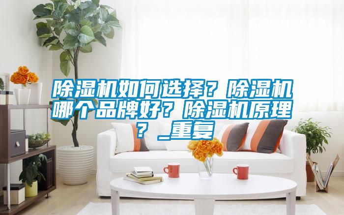 除濕機如何選擇？除濕機哪個品牌好<div   id=