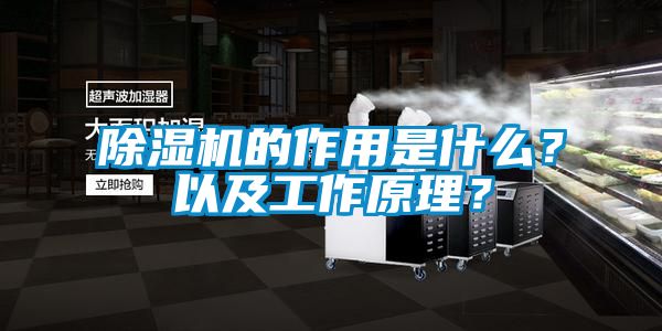 除濕機(jī)的作用是什么<div   id=