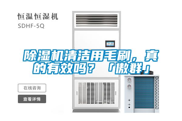 除濕機清潔用毛刷<div   id=