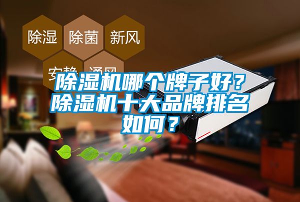 除濕機(jī)哪個(gè)牌子好？除濕機(jī)十大品牌排名如何<div   id=
