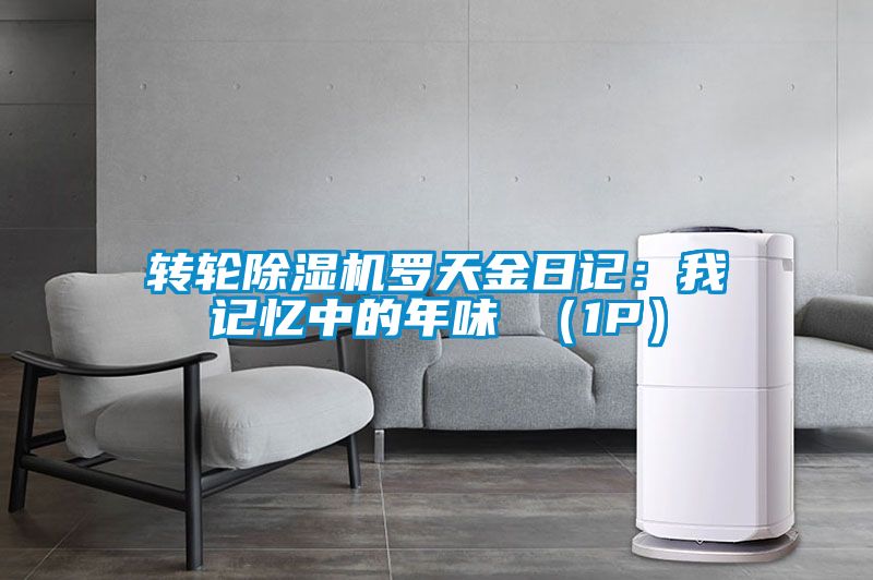 轉(zhuǎn)輪除濕機(jī)羅天金日記:我記憶中的年味 (1P)