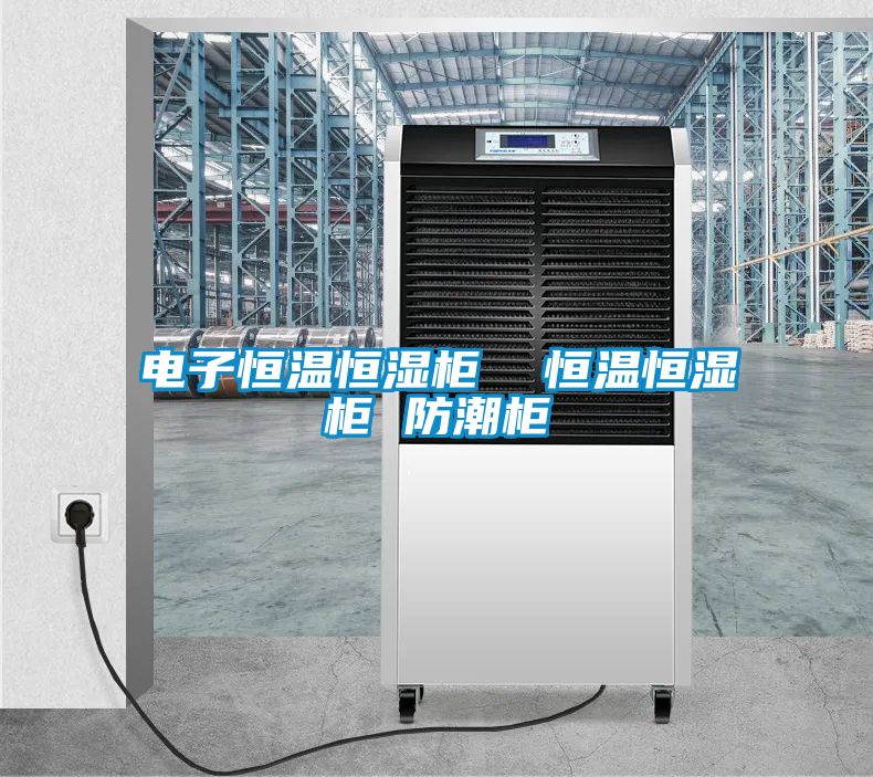 電子恒溫恒濕柜 恒溫恒濕柜 防潮柜