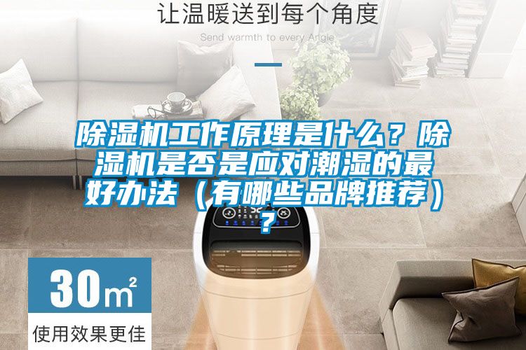 除濕機工作原理是什么<div   id=