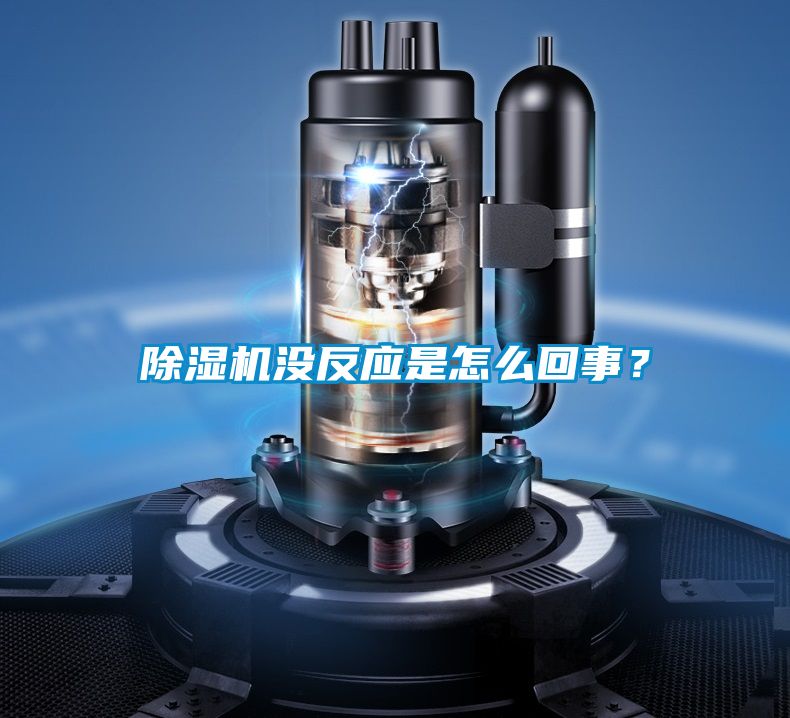 除濕機沒反應(yīng)是怎么回事<div   id=