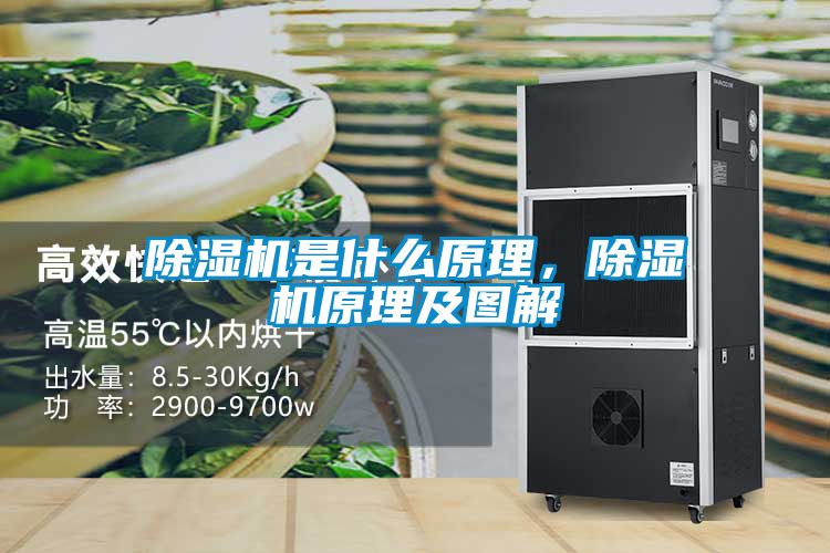 除濕機是什么原理<div   id=