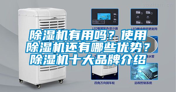 除濕機(jī)有用嗎<div   id=