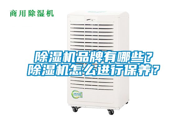 除濕機(jī)品牌有哪些<div   id=