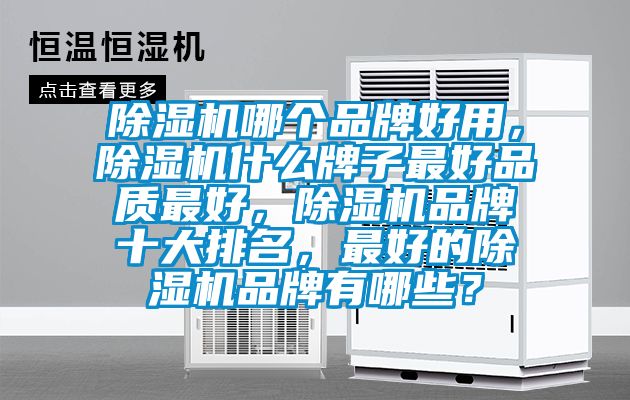 除濕機(jī)哪個(gè)品牌好用<div   id=