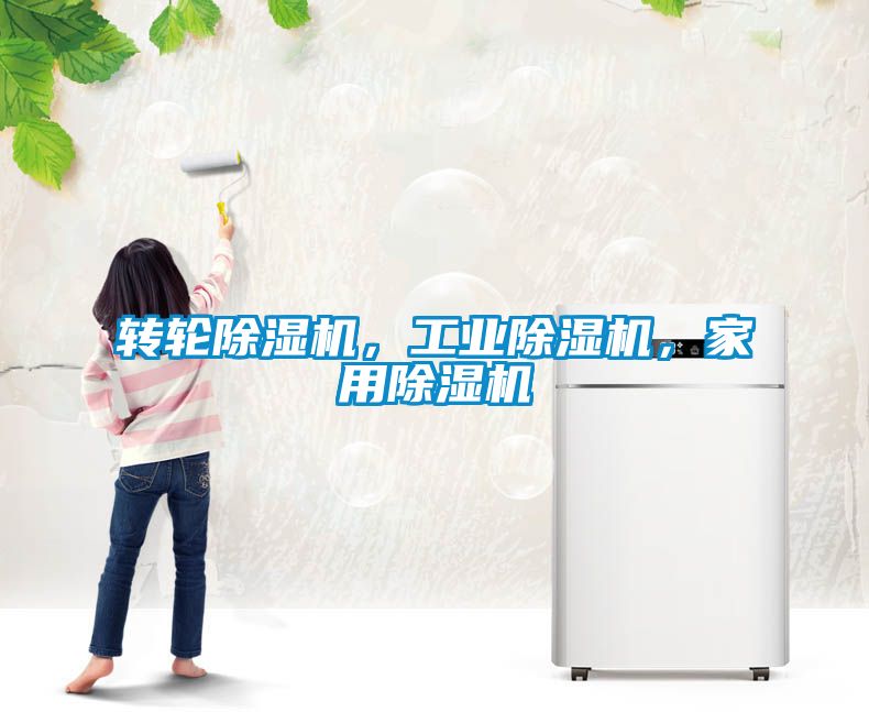 轉(zhuǎn)輪除濕機(jī)，工業(yè)除濕機(jī)<div   id=