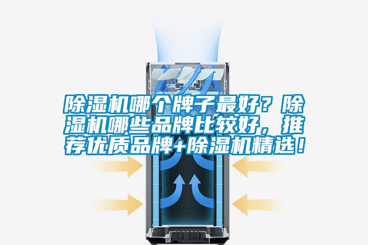 除濕機(jī)哪個牌子最好？除濕機(jī)哪些品牌比較好<div   id=