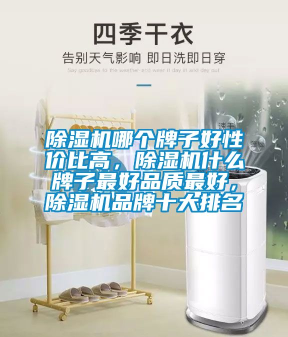 除濕機(jī)哪個(gè)牌子好性價(jià)比高<div   id=