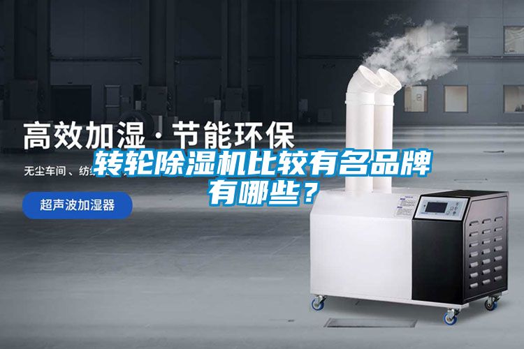 轉(zhuǎn)輪除濕機(jī)比較有名品牌有哪些<div   id=