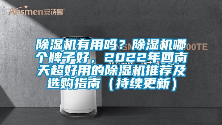 除濕機有用嗎？除濕機哪個牌子好<div   id=