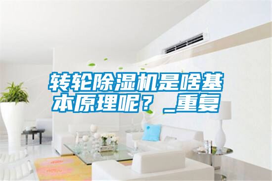 轉(zhuǎn)輪除濕機(jī)是啥基本原理呢<div   id=