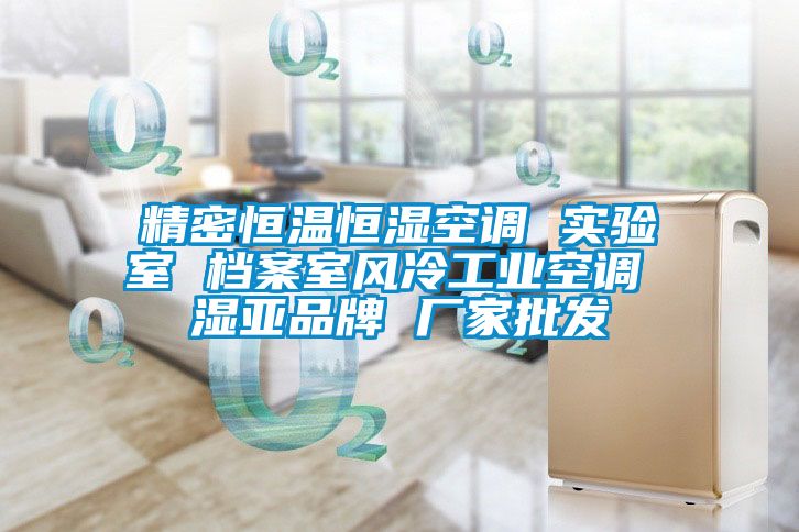 精密恒溫恒濕空調(diào) 實(shí)驗(yàn)室 檔案室風(fēng)冷工業(yè)空調(diào) 濕亞品牌 廠(chǎng)家批發(fā)