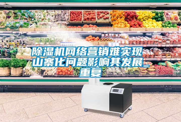 除濕機(jī)網(wǎng)絡(luò)營銷難實現(xiàn) 山寨化問題影響其發(fā)展_重復(fù)