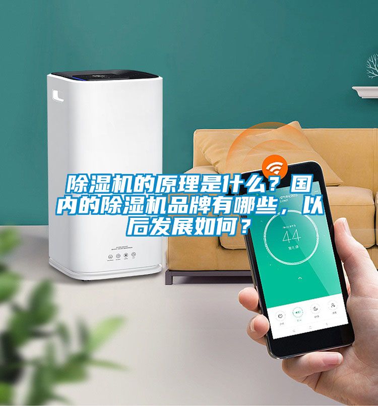 除濕機(jī)的原理是什么？國內(nèi)的除濕機(jī)品牌有哪些<div   id=