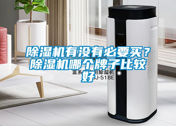 除濕機(jī)有沒(méi)有必要買(mǎi)<div   id=