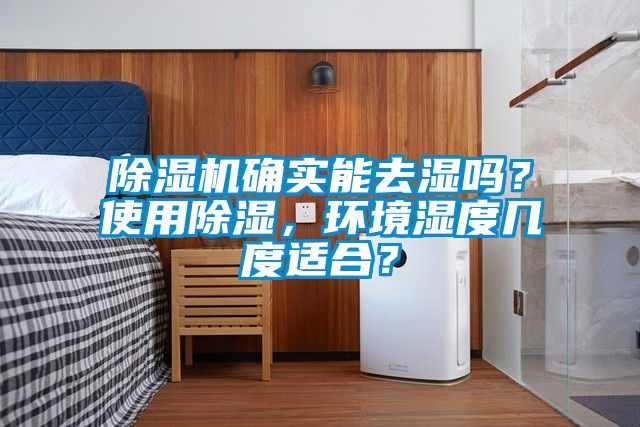 除濕機(jī)確實(shí)能去濕嗎<div   id=