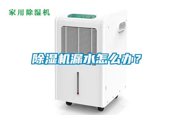 除濕機漏水怎么辦<div   id=