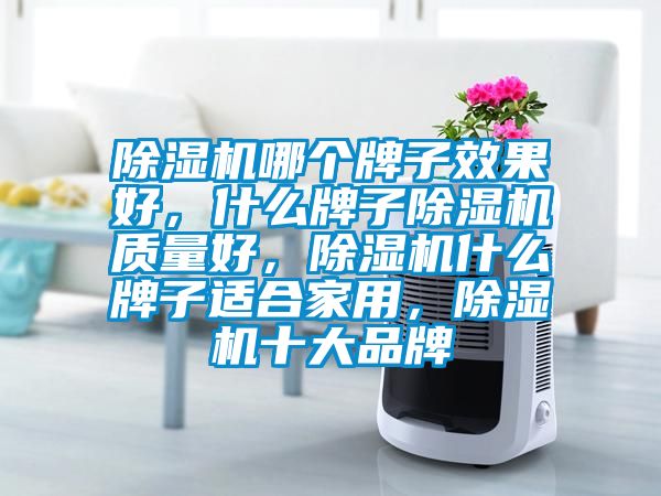 除濕機哪個牌子效果好<div   id=