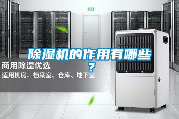 除濕機(jī)的作用有哪些<div   id=