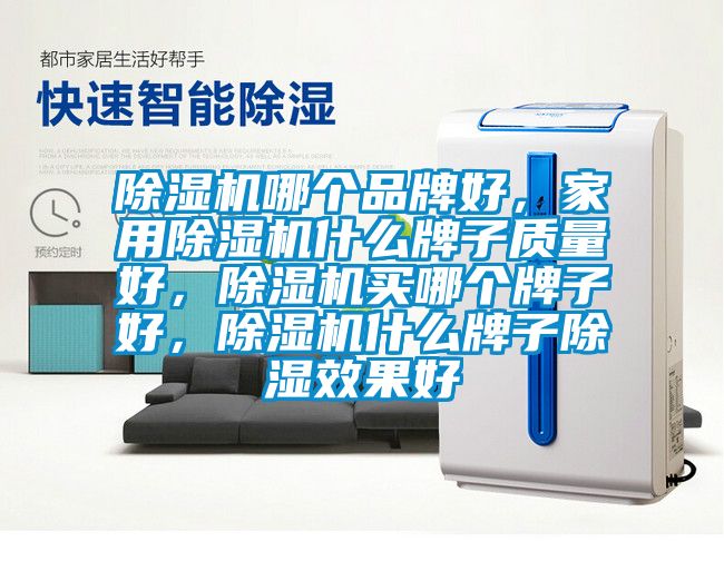 除濕機哪個品牌好<div   id=