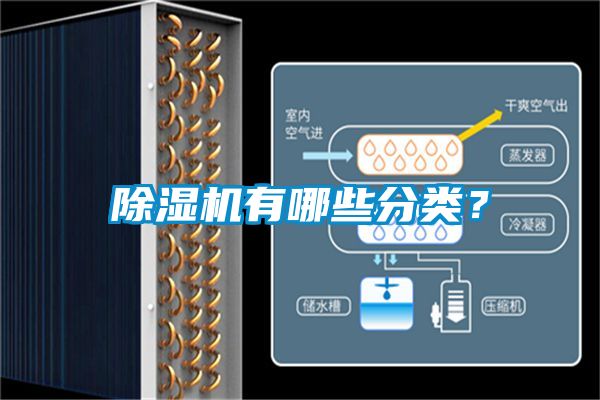 除濕機(jī)有哪些分類<div   id=