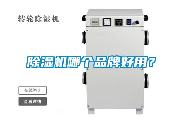 除濕機(jī)哪個(gè)品牌好用<div   id=