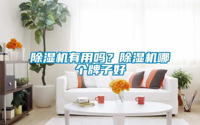 除濕機有用嗎<div   id=