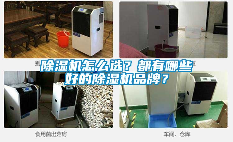 除濕機(jī)怎么選<div   id=