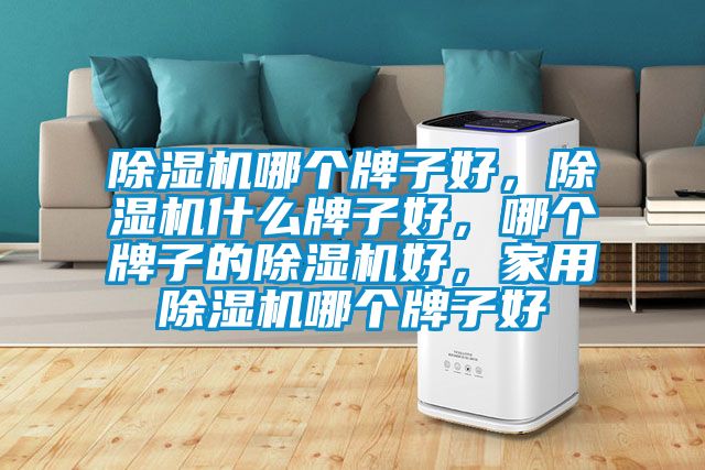 除濕機(jī)哪個(gè)牌子好<div   id=