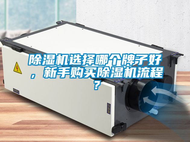 除濕機選擇哪個牌子好<div   id=