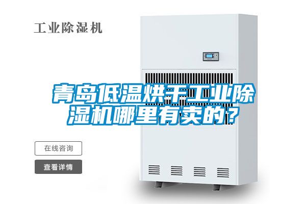 青島低溫烘干工業(yè)除濕機(jī)哪里有賣的<div   id=