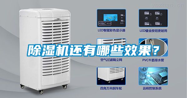除濕機(jī)還有哪些效果<div   id=