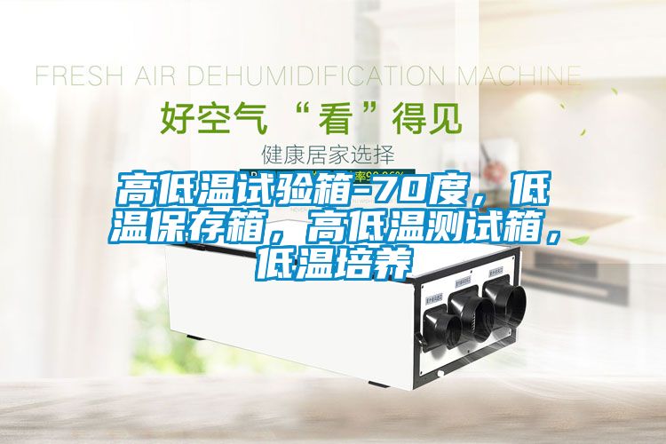 高低溫試驗(yàn)箱-70度<div   id=