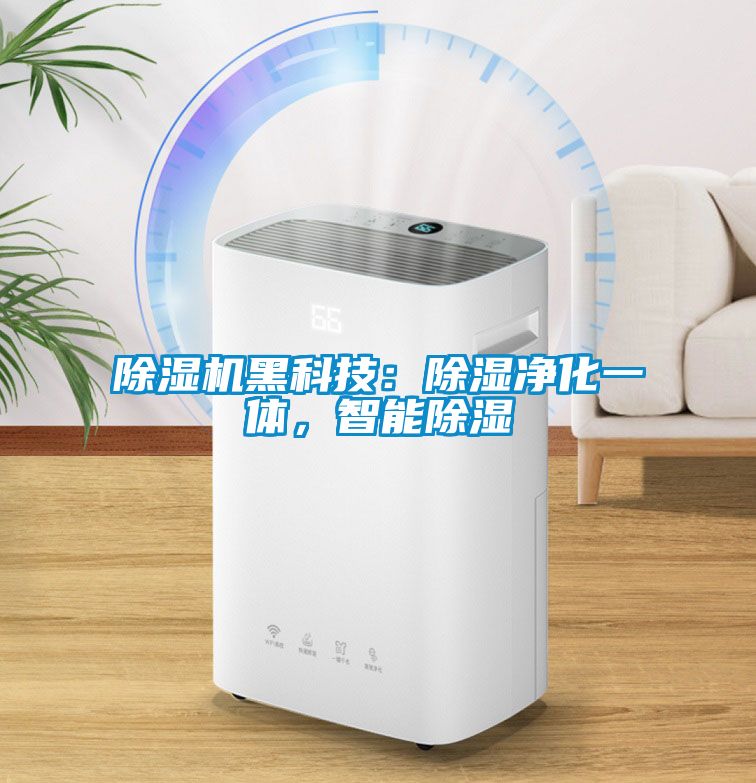 除濕機黑科技：除濕凈化一體<div   id=