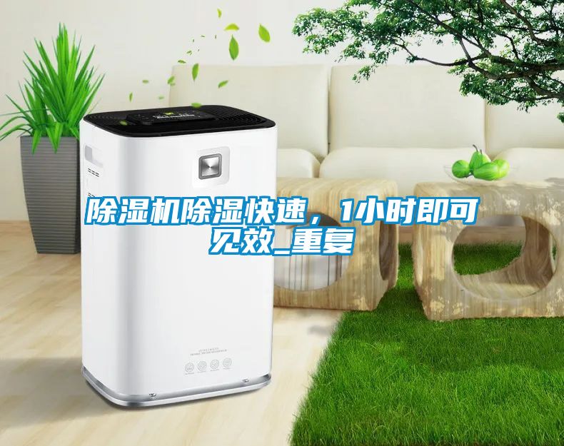 除濕機(jī)除濕快速<div   id=