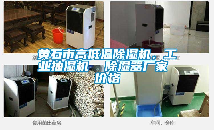 黃石市高低溫除濕機<div   id=