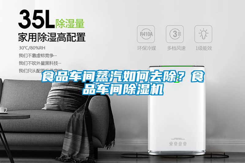 食品車(chē)間蒸汽如何去除<div   id=