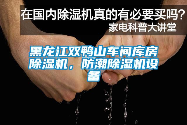 黑龍江雙鴨山車間庫房除濕機<div   id=