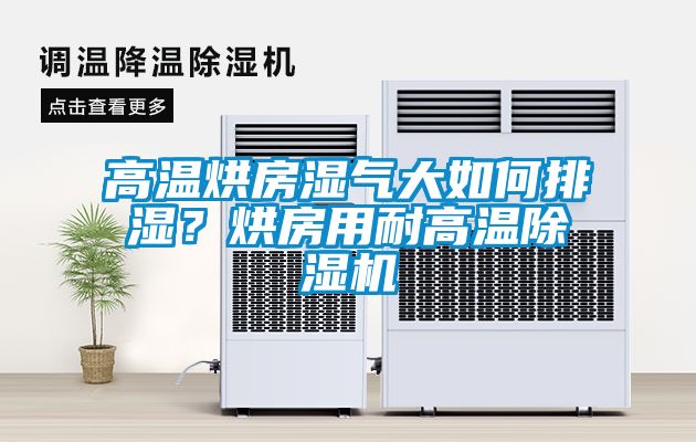 高溫烘房濕氣大如何排濕<div   id=