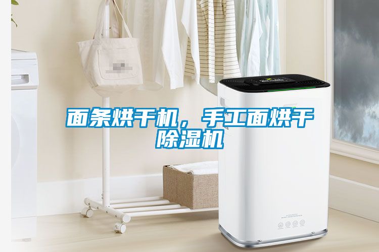 面條烘干機(jī)<div   id=