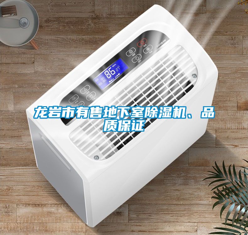 龍巖市有售地下室除濕機<div   id=